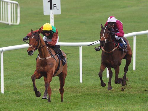 Bonzo Bing stretches away from eventual third Rebel Laker