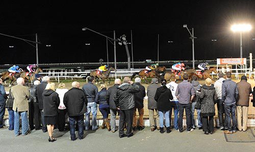 Favourite backers amongst this group were left disappointed as Political Policy (red/white) came up short behind Fix It