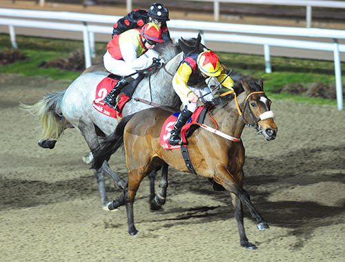 Dancing Cosmos (Wayne Lordan) sees off Equation Of Time and Shabra Emperor in the fifth at Dundalk
