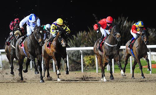 Gold Falcon (red, 2nd from right) accounted for Merry Mast (nearside) and company at Dundalk