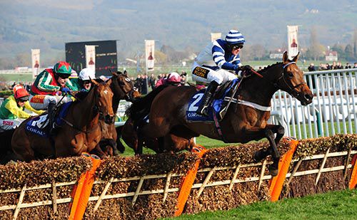 Whisper (Nico de Boinville) leads over the last