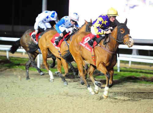 Lily's Prince and Shane Foley in charge at Dundalk
