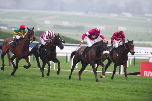 Next Sensation (right) finishes behind Savello