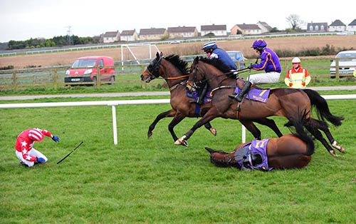 Voice Of A Curlew's fall at the last saw Sardinia (far-side) go on to beat Ashjar in the first at Wexford