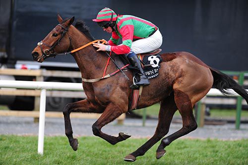 Riviera Sun (Dave Roche) comes home in front in the last at Down Royal