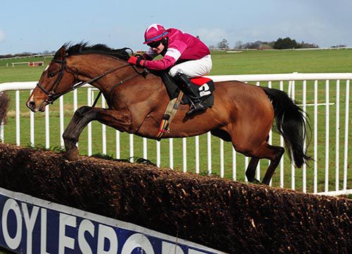 Ballysteen (Kevin Sexton) clears the last