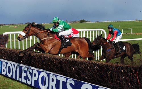 Coole Avenue leads over the last for Joe Holly