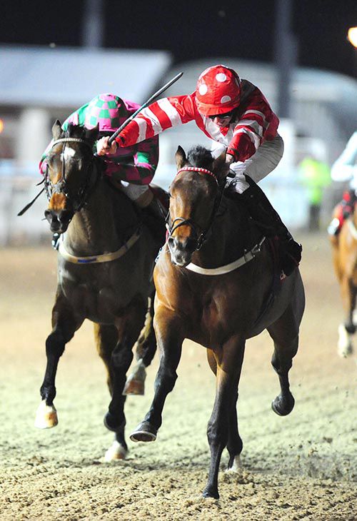 Political Policy (Conor Hoban, nearside) beats Tom Dooley (Chris Hayes)
