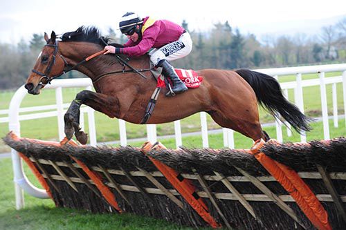 Bothair Clei and Philip Enright clear the last 