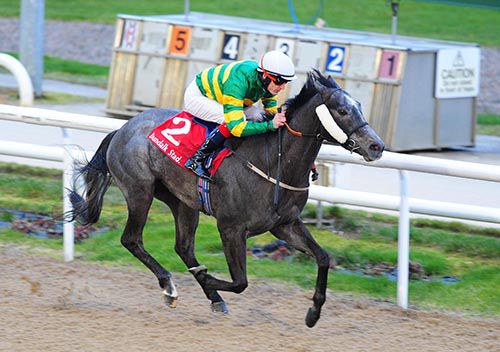 Fine Cut (Fran Berry) was fast out of traps and always looked good in the opener at Dundalk