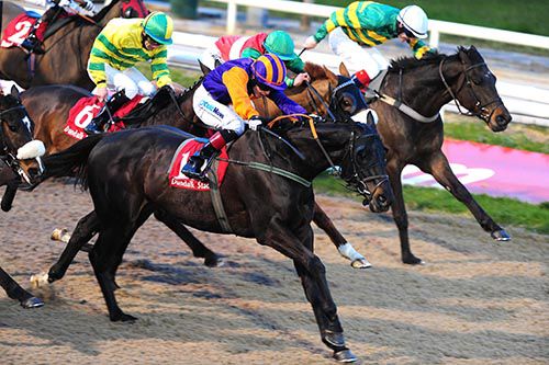 Faranadooney (purple and orange, Leigh Roche) stays on well to beat Mad For Road (Fran Berry, rail)