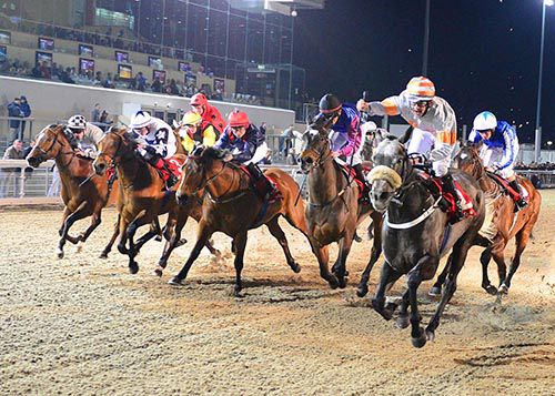 Slipper Orchid delights Damien Melia with rivals fanned out behind