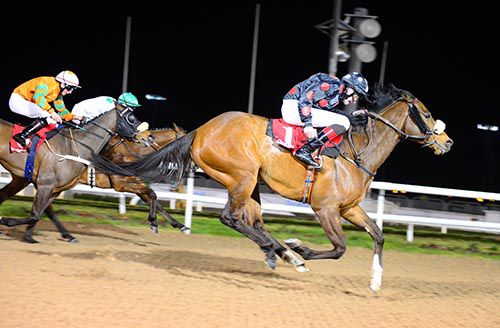 Shabra Emperor (Connor King) accounts for Boughtforasong (white and green) and Red Laser