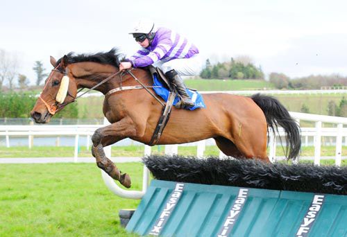 Master Oscar pops the last in Limerick