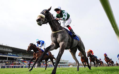 Go For Goal beats Shining Emerald in Leopardstown