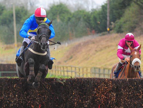 Page Turner wins again in Limerick