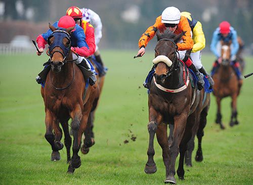 Cullentry Royal, orange, gets to the front in Leopardstown