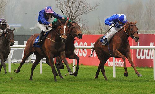 Waltzing Matilda (Wayne Lordan, nearest) comes to beat Miss Gally Rio, Sherama (middle) with Intense Debate in behind