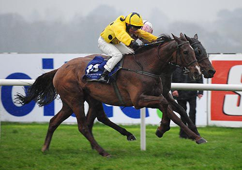 Black Spot On (Tadhg O'Shea) holds on from Ibsen in the finale at Leopardstown