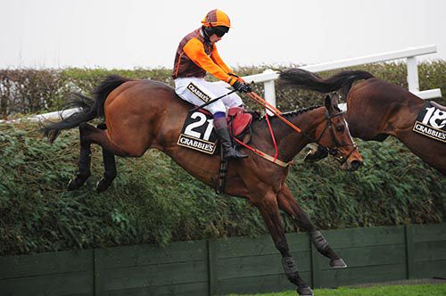 Warne jumping a fence at Aintree