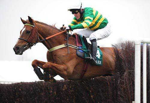Uxizandre and Tony McCoy