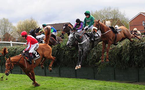 Ma Filleule (grey) in pursuit over the national fences