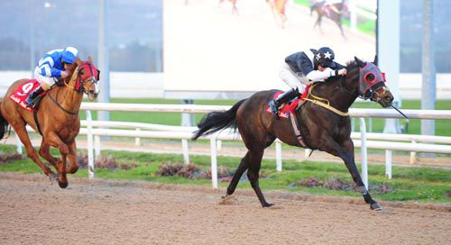 Calling You (Tom Madden) beats Chillie Billie