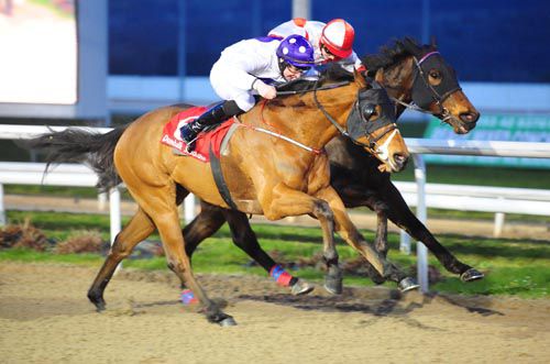 Our Manekineko (Joseph O'Brien, nearside) just holds Captain Cullen at Dundalk 