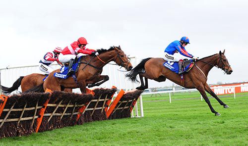 Lac Fontana (red) chases Splash Of Ginge
