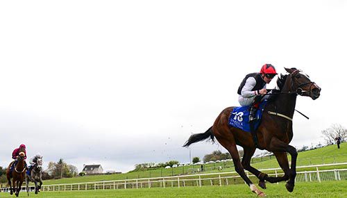 Job done - Sparkle Factor and Pat Smullen win Limerick's second