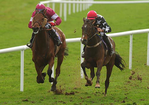 Maguire's Glen (right) heads Horendus Hulabaloo in the straight