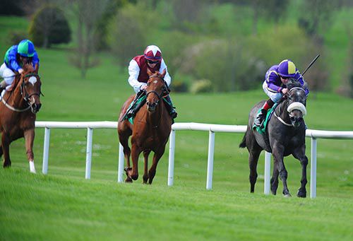 Stormfly (Pat Smullen) has Queen Anne and Icy Lady on the stretch