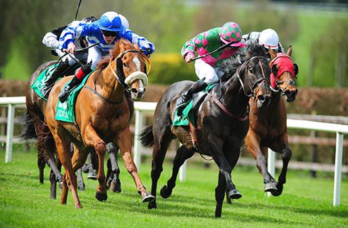 Chillie Billie (chestnut, blue and white colours, Robbie Downey) comes to 'do' Battleroftheboyne