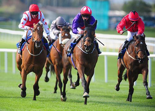 Sruthan (centre) gets the better of Custom Cut (left) in the Gladness Stakes
