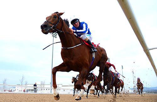 Prince Of All and Chris Hayes have them all seen off in the Listed Patton Stakes at Dundalk