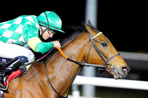 A picture of concentration - Rocky Bleier and Niall McCullagh
