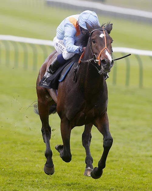 Toormore