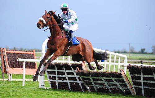 Lots Of Memories and Shane Butler well clear at Fairyhouse 