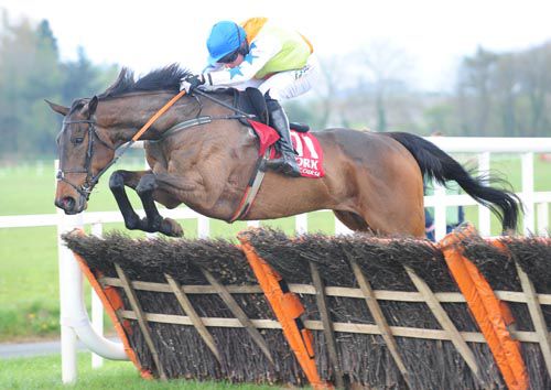 Kerrieonvic jumps the last under Barry O'Neill
