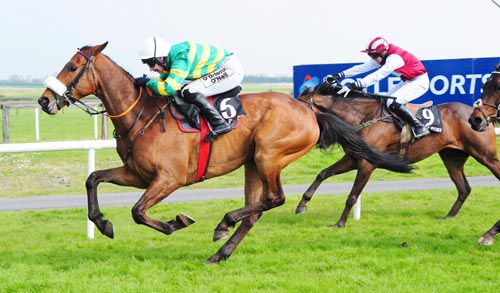 Free Expression and Nina Carberry 