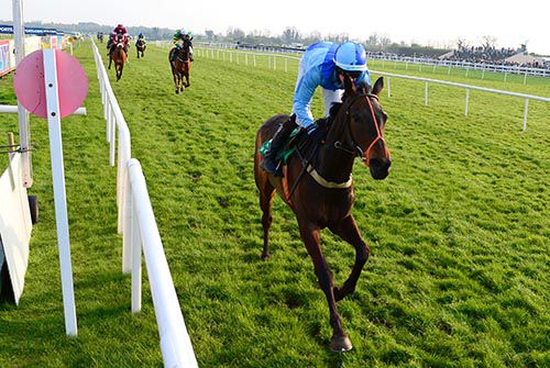 Investmentsuccess comes home a clear winner of the bumper under David Mullins