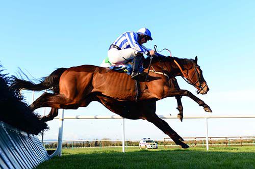 Marshim and Knockanarrigan (hidden far side) jump the last together