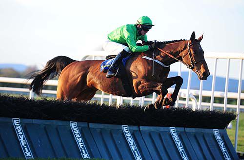 Globalized and Mick Darcy are in control at the last