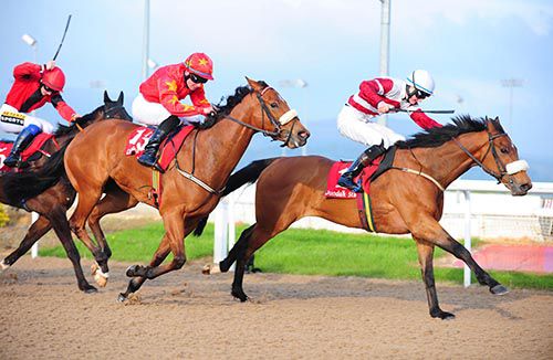 Cheers Buddy is driven out by Daniel Redmond to beat Flaring Forth and Gold Falcon 