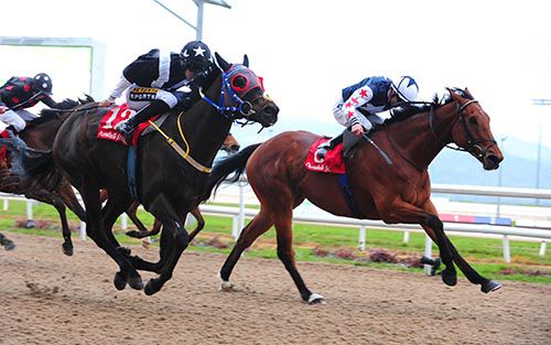 Hi Emperor and Fergal Lynch just hold off Calling You (blinkers) and Colin Keane