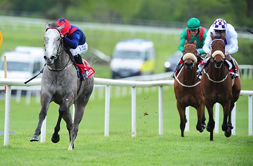 Queen Of Power is well clear in Gowran Park 