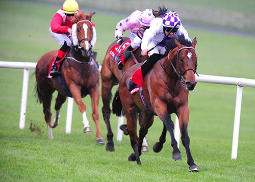 Intensical is driven out to victory by Rory Cleary 