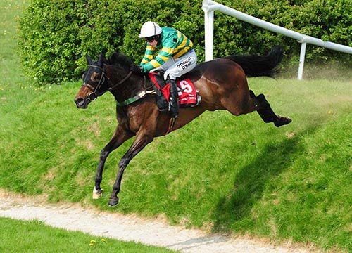 What a shot - Be Positive and Nina Carberry in full flow