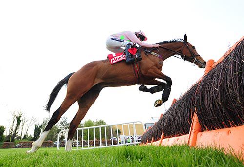 Faugheen and Ruby Walsh