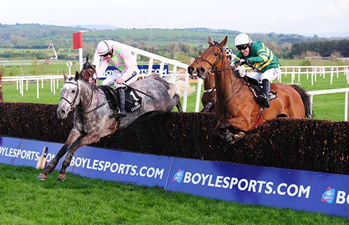Ballycasey (grey) still just holds the call from winner Carlingford Lough (Tony McCoy, nearside)